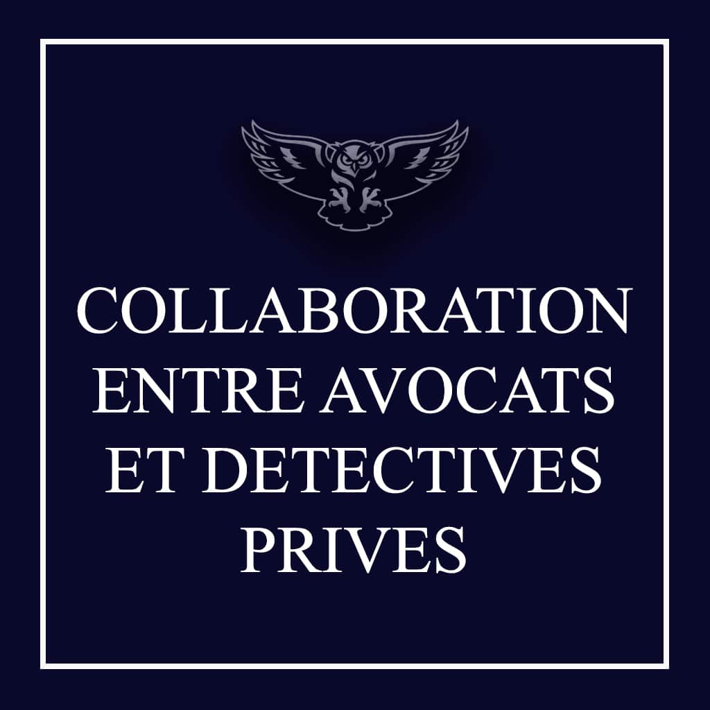 Illustration d'un grand duc symbolisant la collaboration entre avocats et détectives privés